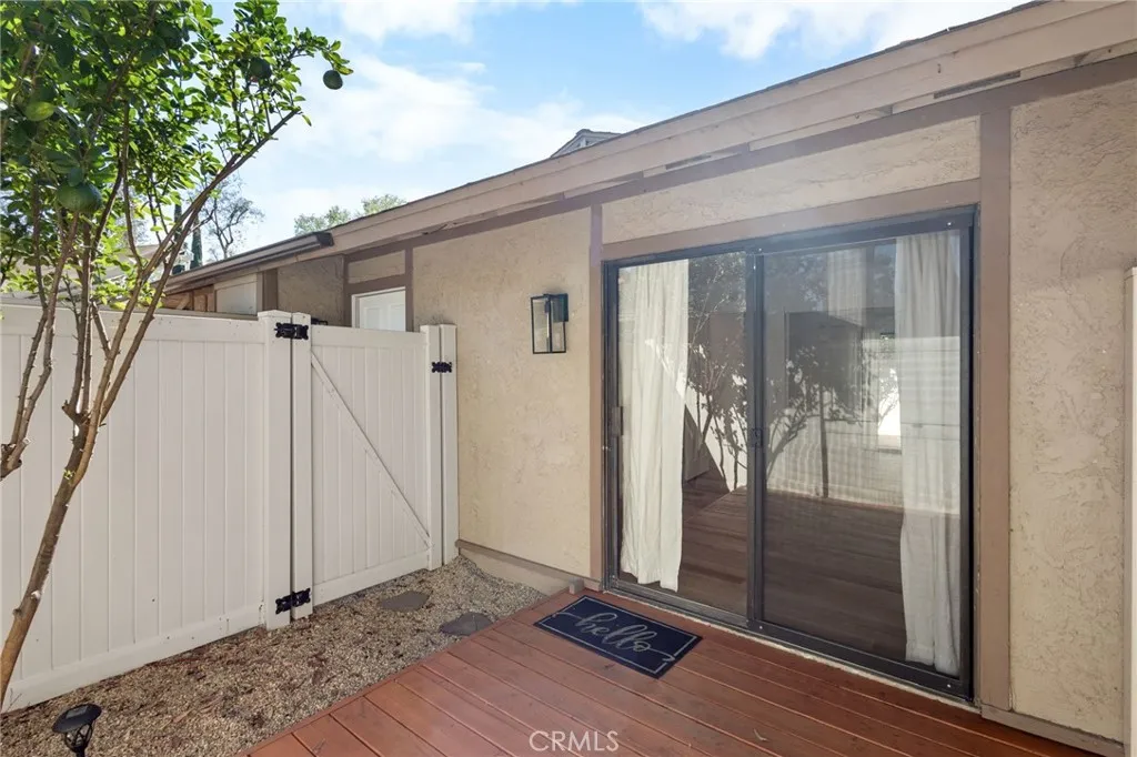 Private Patio / Lemon Tree