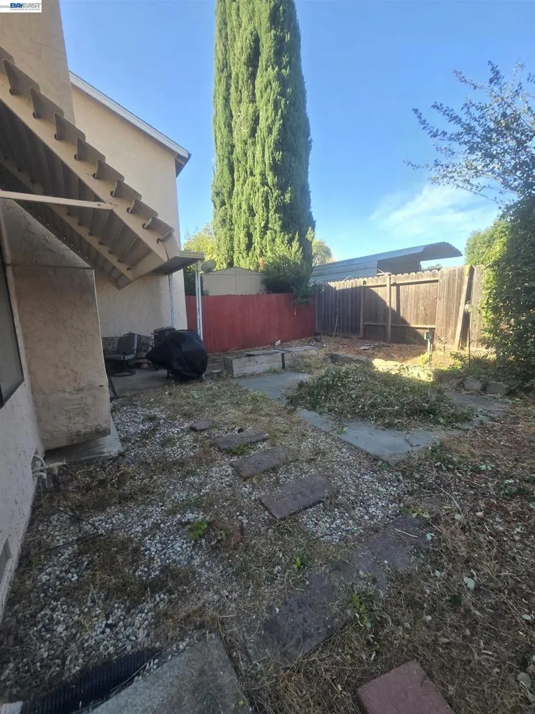 Back Yard Back Yard