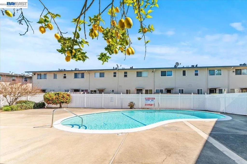 Coop Commuity Pool
