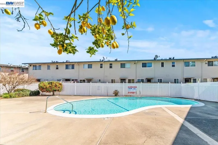 Coop Commuity Pool