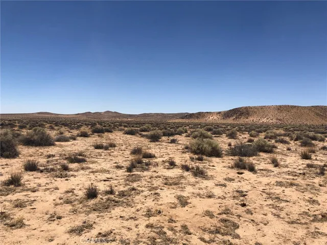 View looking west from Burnt Tree on your eastern boundary line.