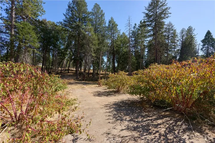 14148 Norwich, Magalia, California 95954 — photo 5