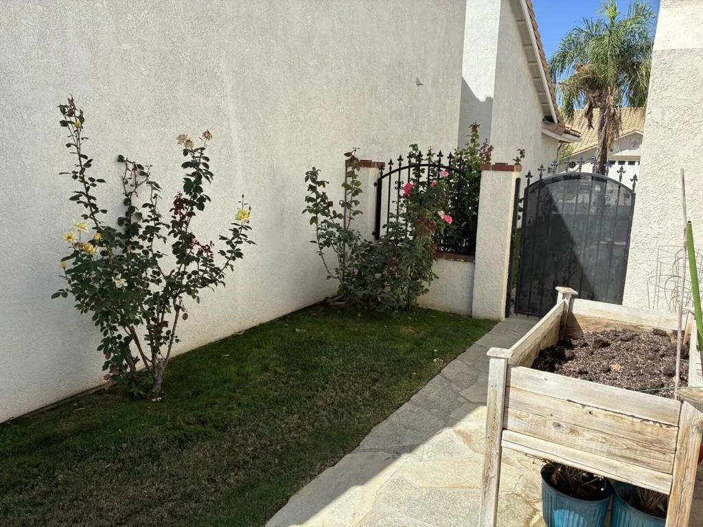 Back Side Yard