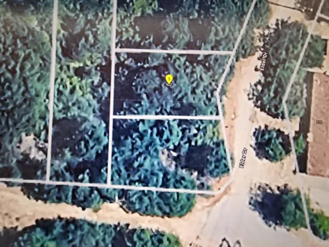 522 Elder Drive, Cedar Glen, California 92321 — photo 5