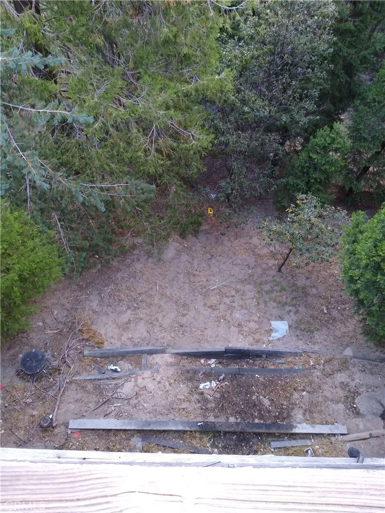 Back Yard From Deck