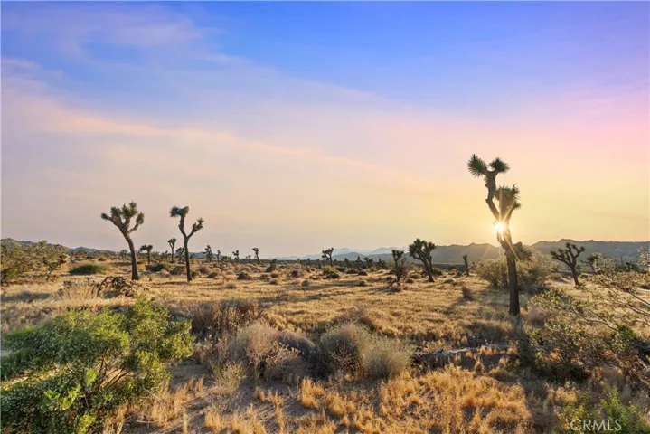 7021 Balsa, Yucca Valley, California 92284 — photo 4