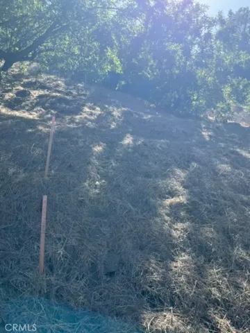 0 Palomar Drive, La Habra Heights, California 90631 — photo 4