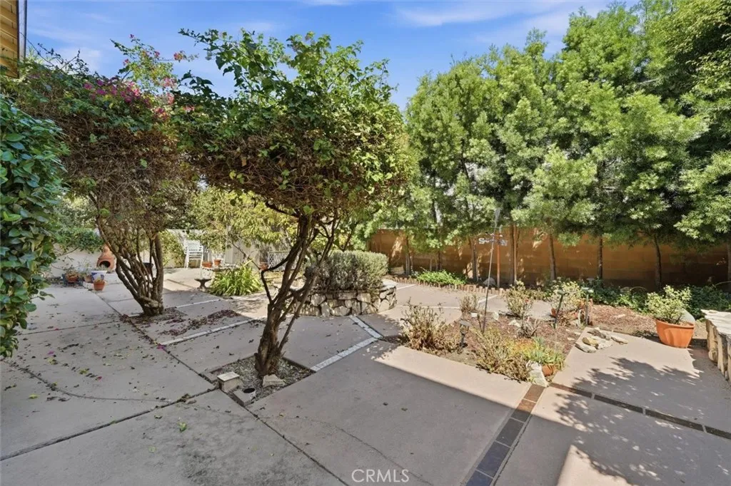 Backyard Backyard