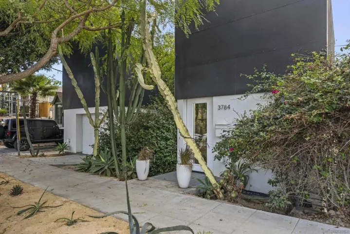 3784 8th, San Diego, California 92103 — photo 4