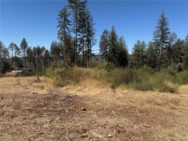 6691 Quail, Paradise, California 95969 — photo 4