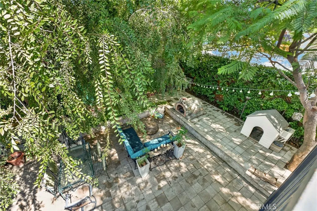 Magical Backyard