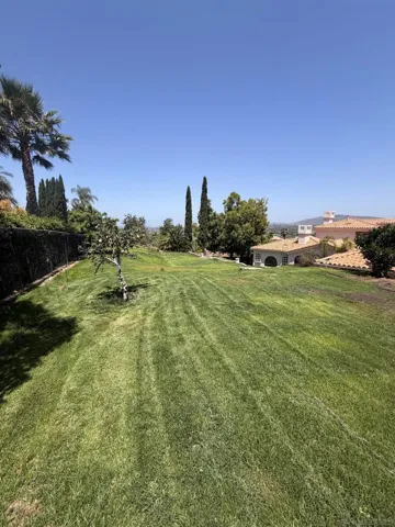 Yard