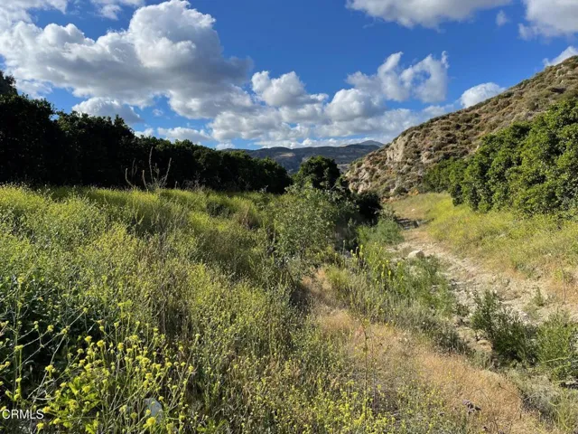 2500, Fillmore, California 93015 — photo 4