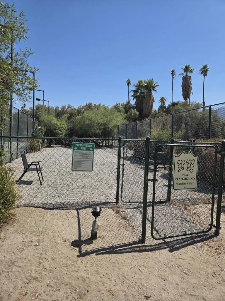 Paw Playground