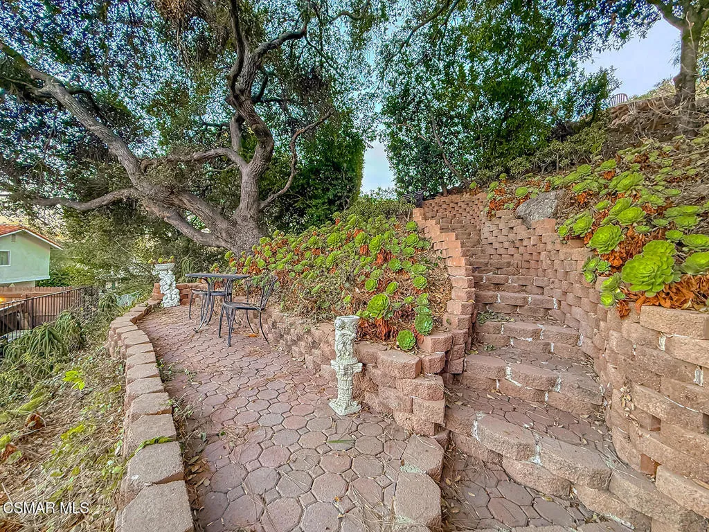 Backyard winding steps to top