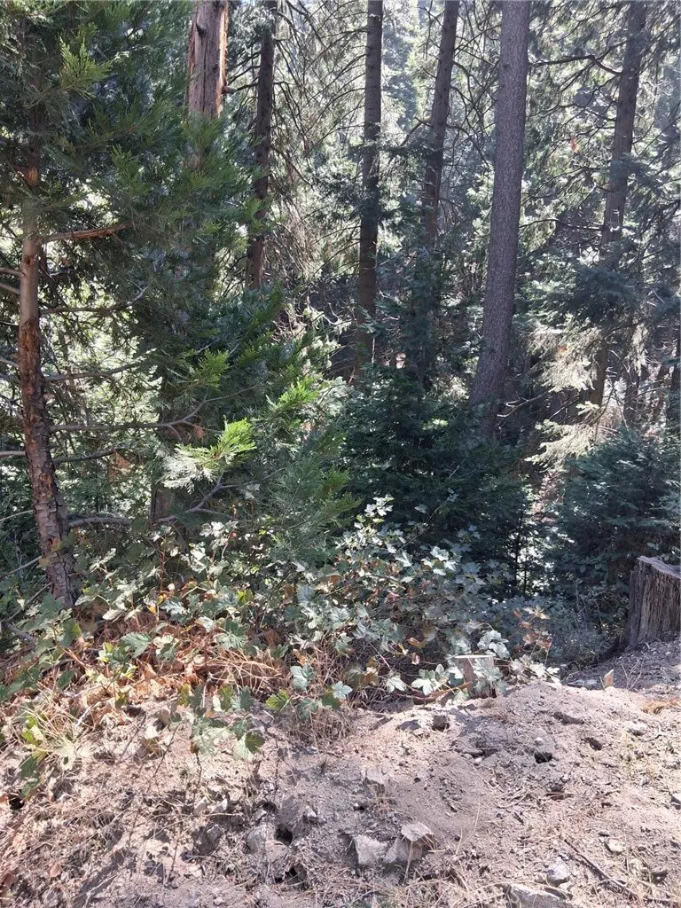 14 Burnt Mill Canyon Road, Cedarpines Park, California 92322 — photo 4