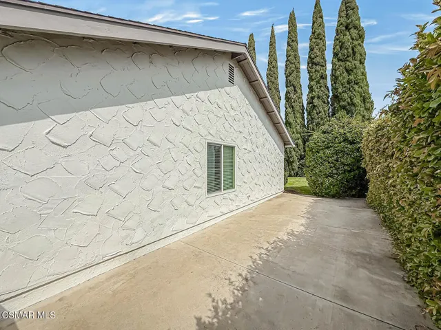 iBackyard7