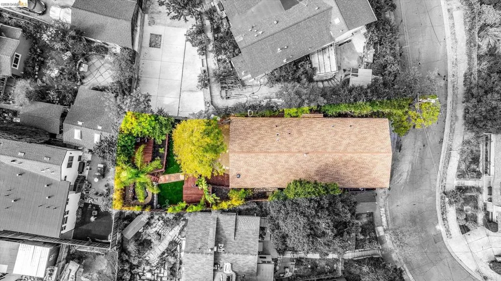 Expansive rear yard with mature trees, a manicured lawn, and hardscaping elements