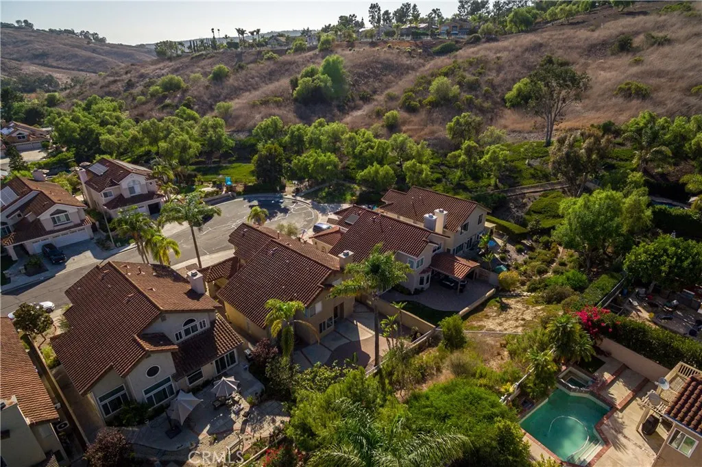 Birds love the natural California style landscape all around. Birds love the natural California style landscape all around.