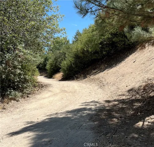 0 Hill Drive, Cedar Glen, California 92321 — photo 5