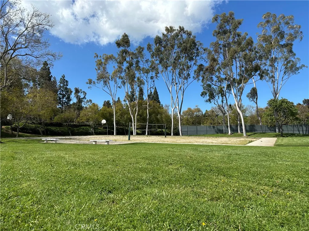 Volleyball and basketball courts