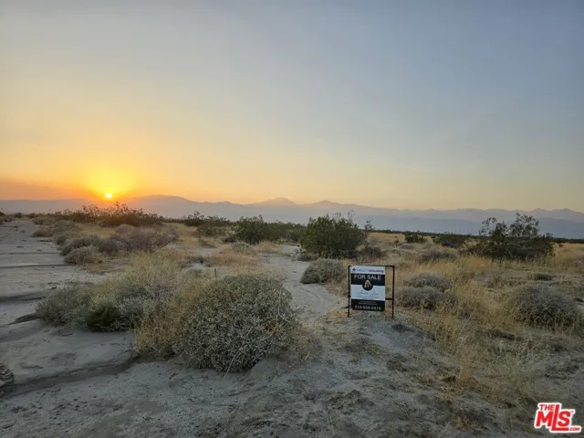Desert Terrace