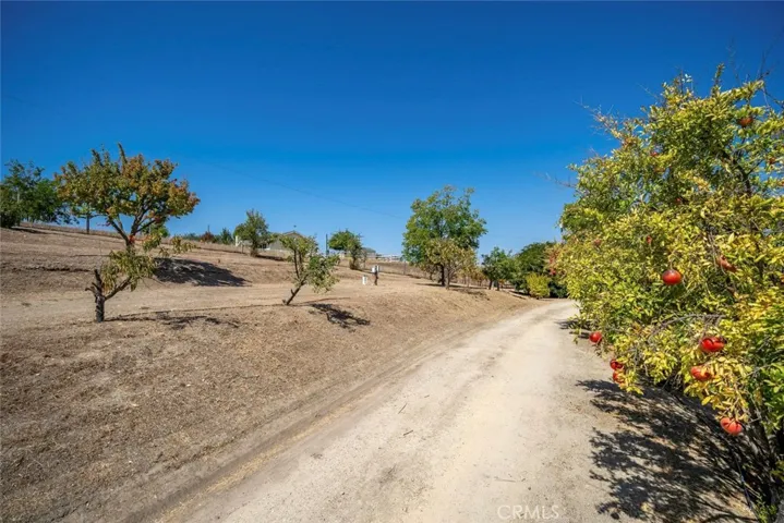 7170 Iverson, Paso Robles, California 93446 — photo 4