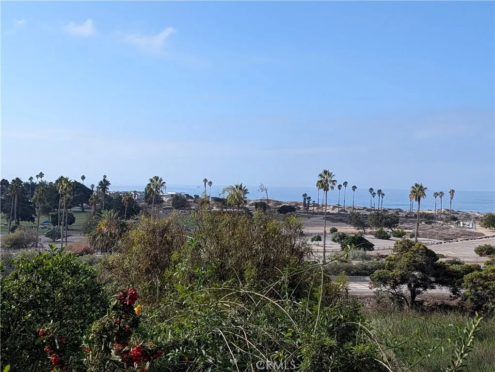 View beyond rear fence