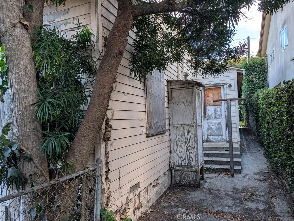 south side yard