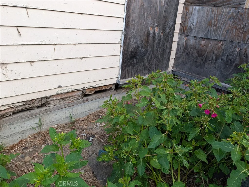 sample of foundation damage