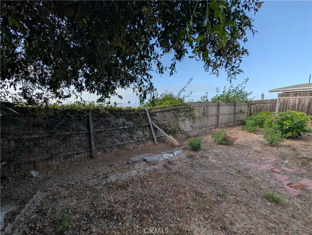 backyard, fence and overgrowth blocking the beautiful views