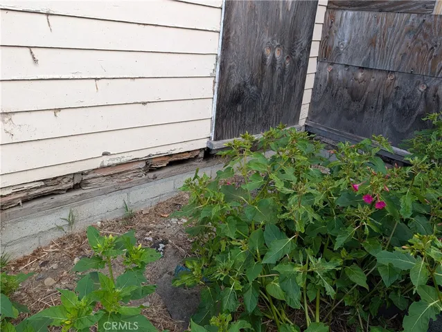 sample of foundation damage