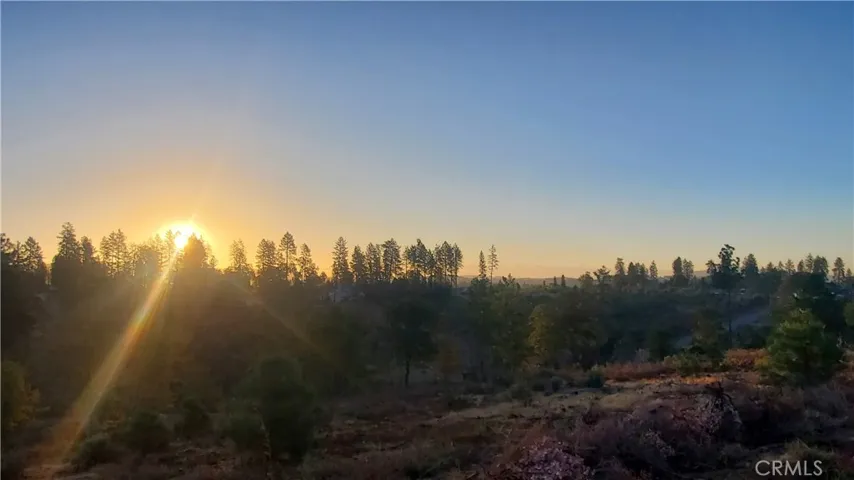 Morning sunrise view!