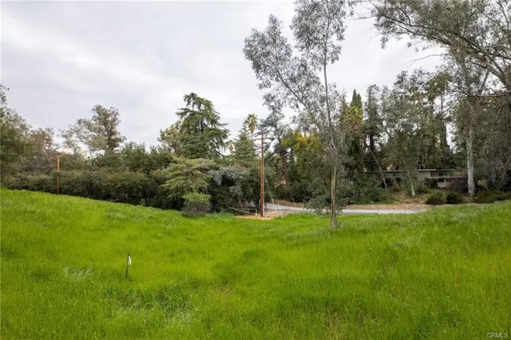 1702 Dwight, Redlands, California 92373 — photo 4
