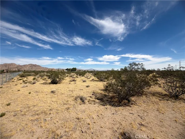 9705 Buena Vista, Lucerne Valley, California 92356 — photo 4