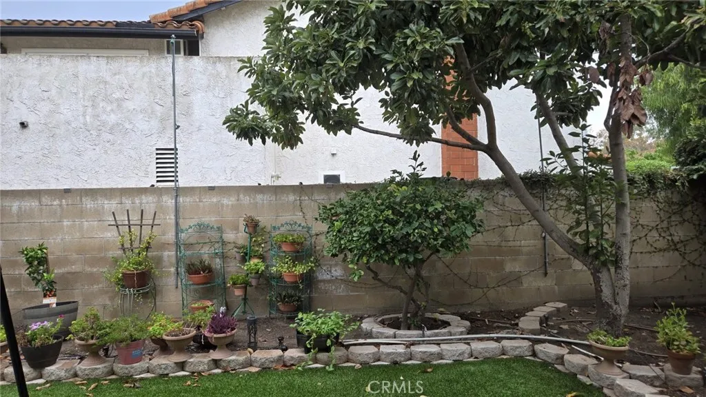 Backyard Backyard