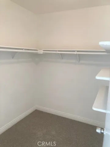 Primary Bedroom Walk-in Closet