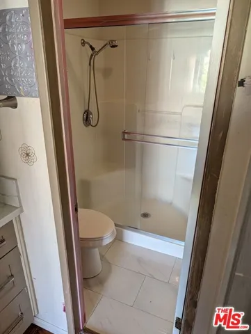 Downstairs Shower