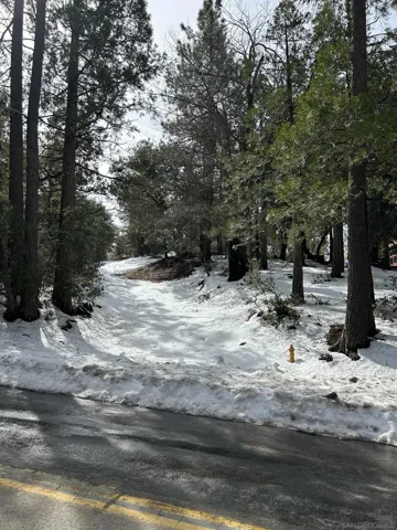 8 Saunders Meadow Road, Idyllwild, California 92549 — photo 4