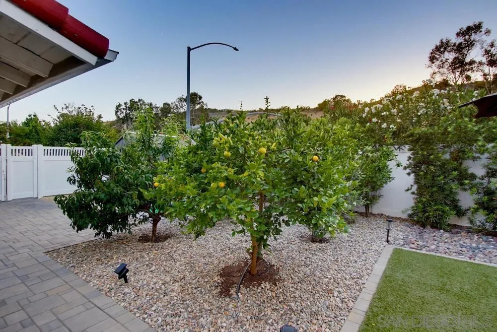 Fruit trees! Fruit trees!