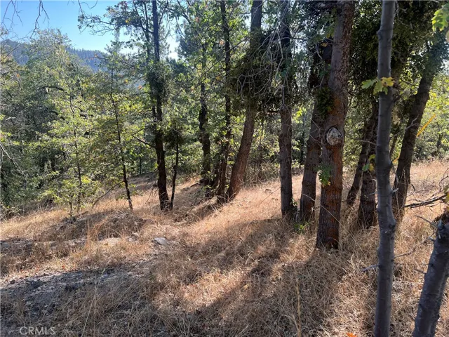 0 Lone Pine Dr., Arrowbear, California 92382 — photo 5