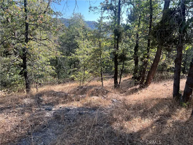 0 Lone Pine Dr., Arrowbear, California 92382 — photo 4