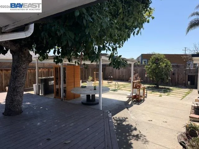 Backyard Backyard