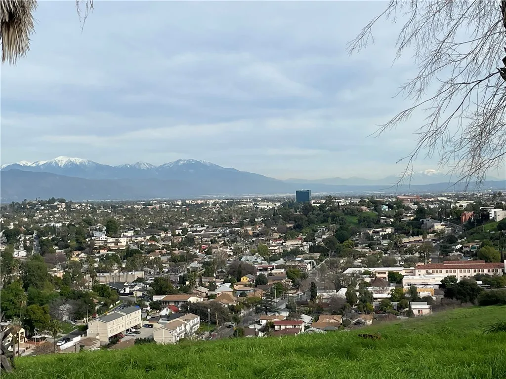 MT View