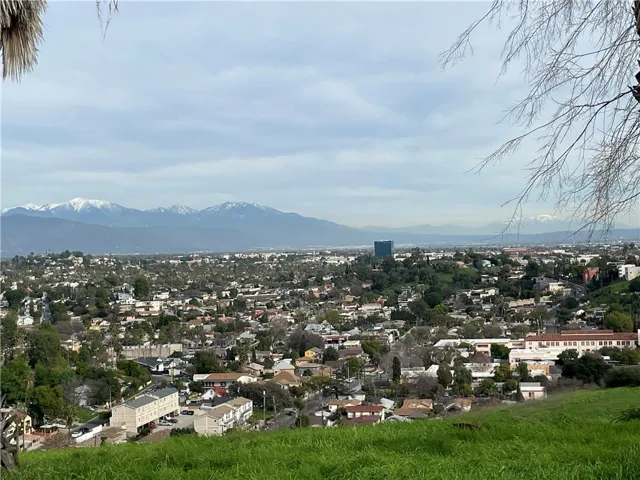 MT View