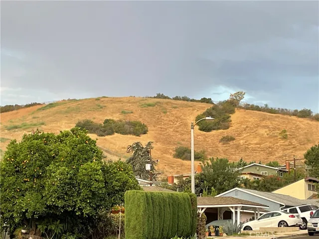 Local Neighborhoods below