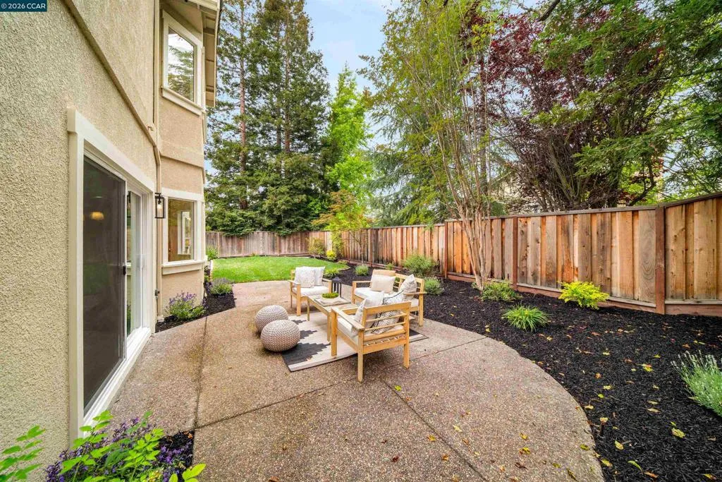 Backyard Backyard