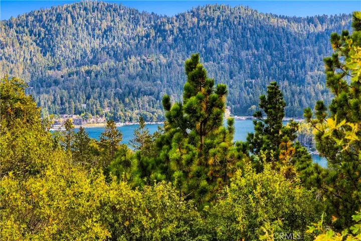 1216 Kodiak, Lake Arrowhead, California 92352 — photo 4