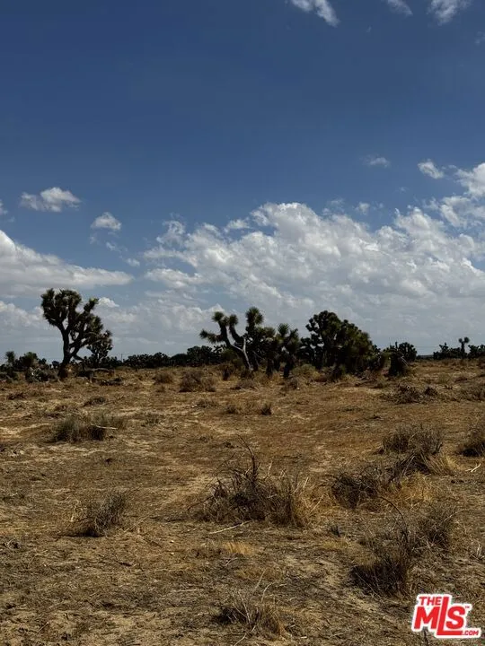 Desert Landscape with Distant