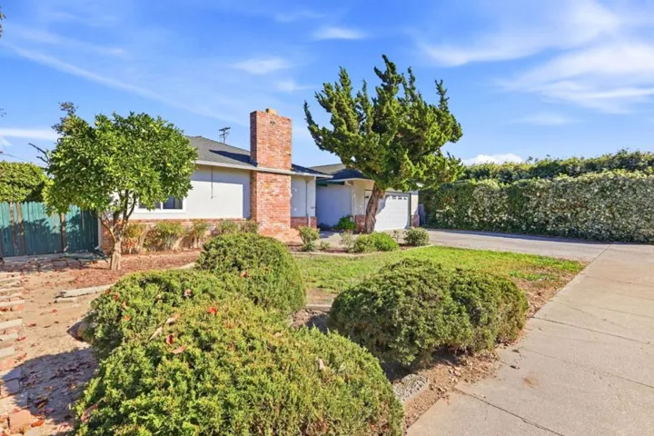 1010 S Baywood Avenue, San Jose, California 95128 — photo 4
